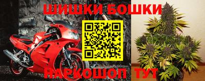 стаф Бузулук