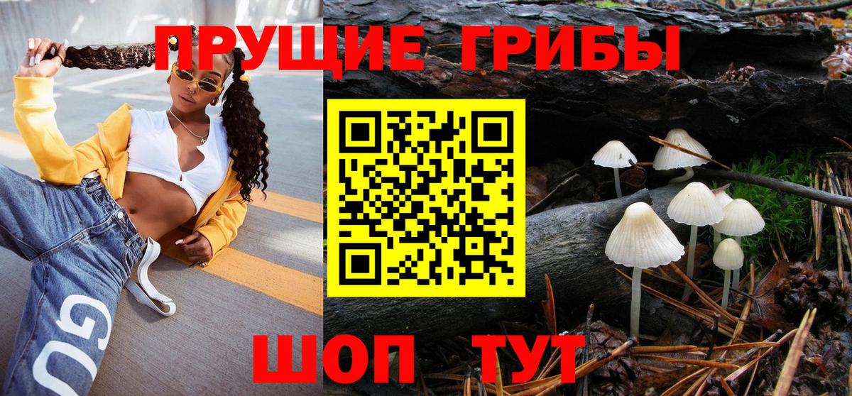 Галлюциногенные грибы мицелий  где продают наркотики  Чапаевск  Галлюциногенные грибы Psilocybe  Вход с VPN 