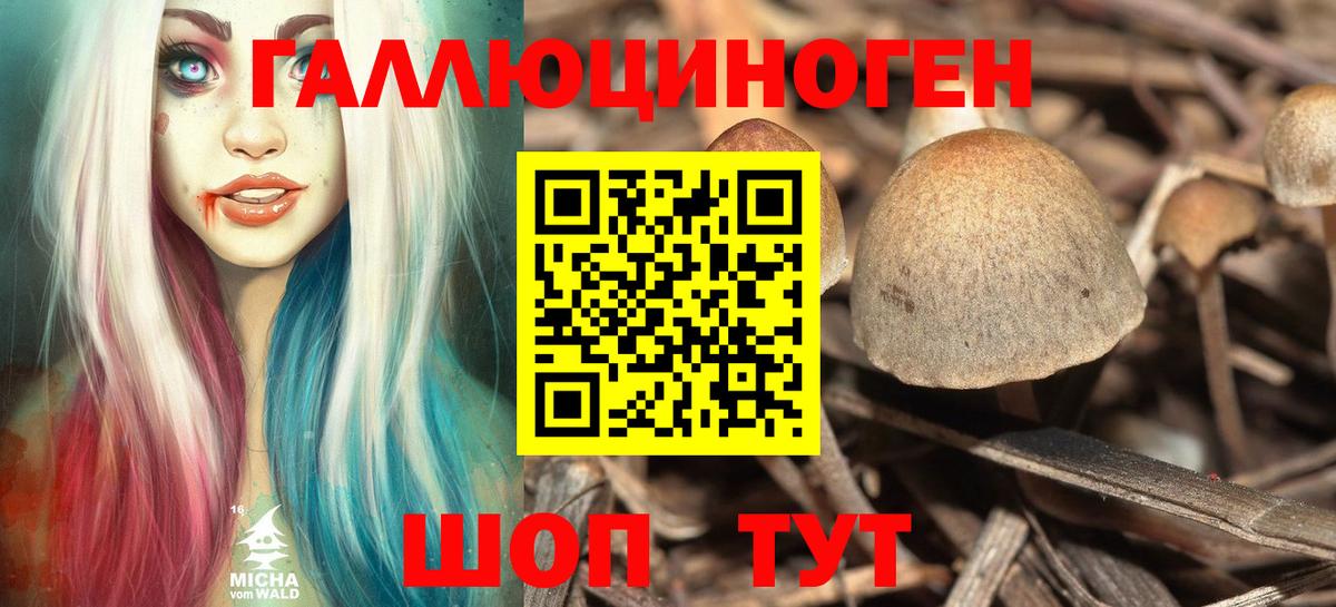 Галлюциногенные грибы мухоморы Чапаевск